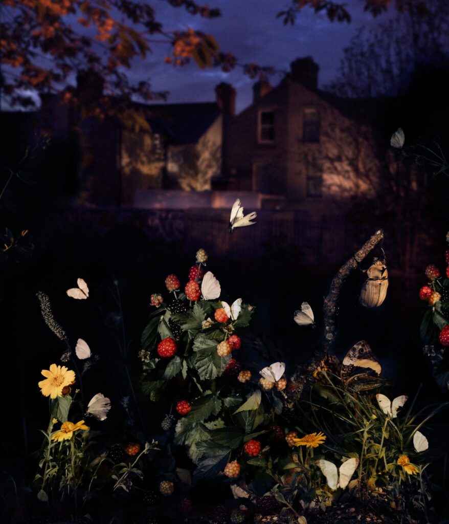 Diego Fabro, Reverie #10 Diego Fabro, Reverie #10